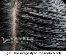 260505160212_Hair-Dyed with indigo-s.jpg